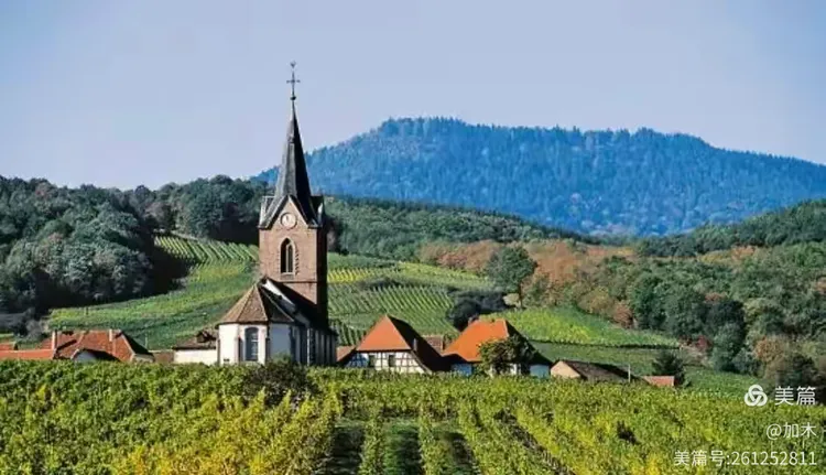 波尔多教练团队联手挑起新挑战