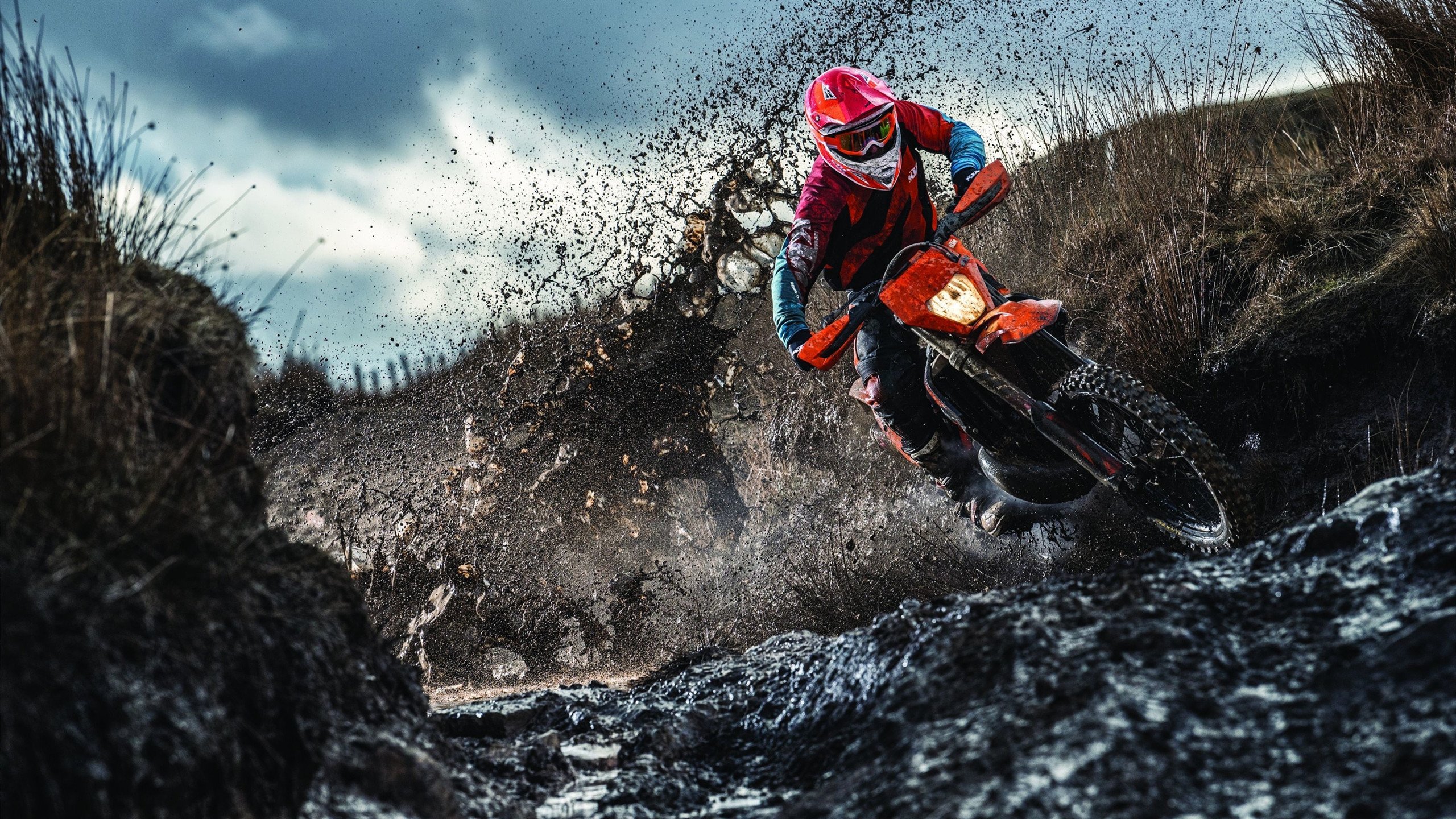 当锡安在全息球场杀死上海队，NBA奇才如何赢得虚拟总冠军？