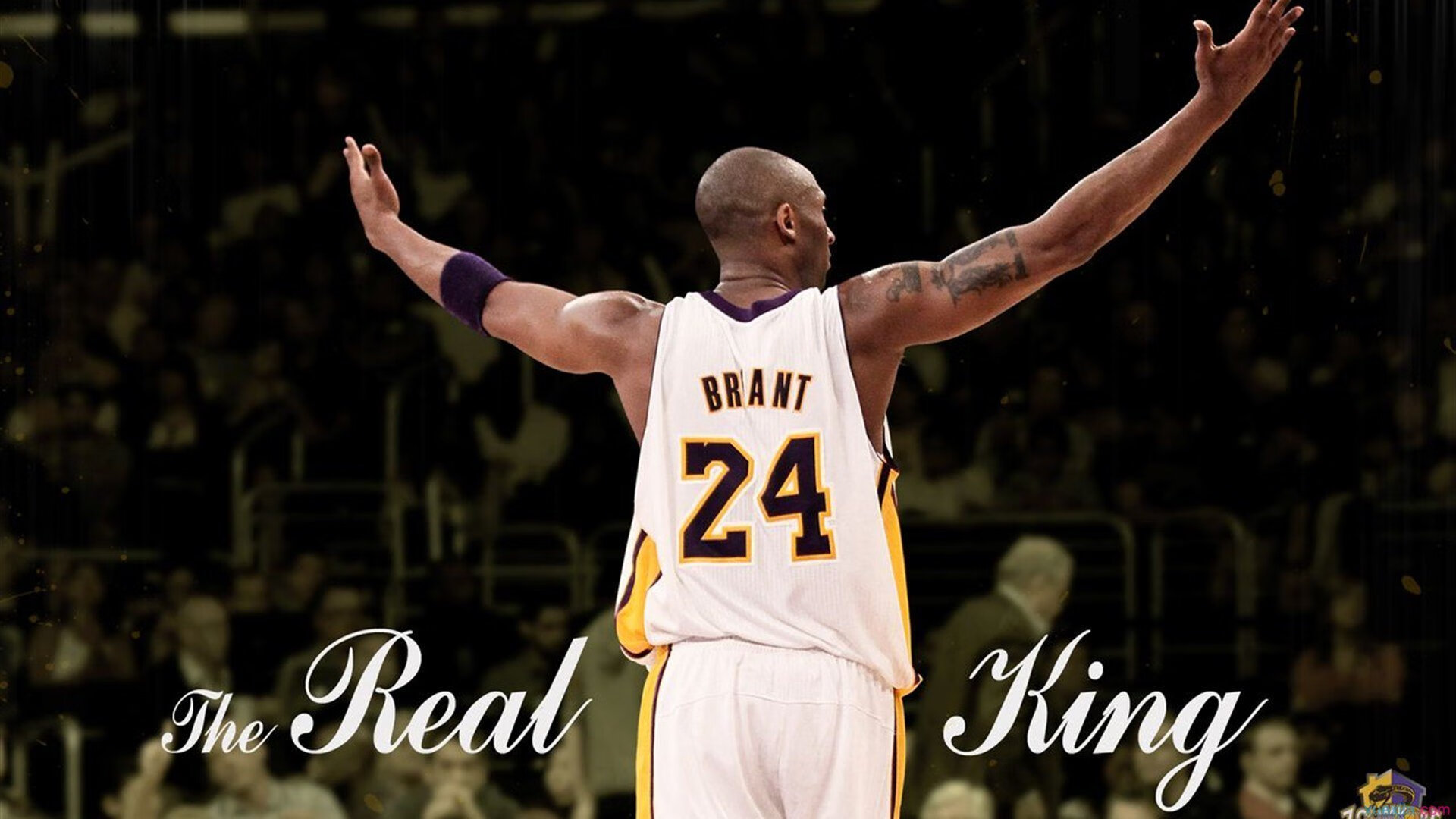 三笘薰的跨界裁决，当篮球场降下南半球的足球雨