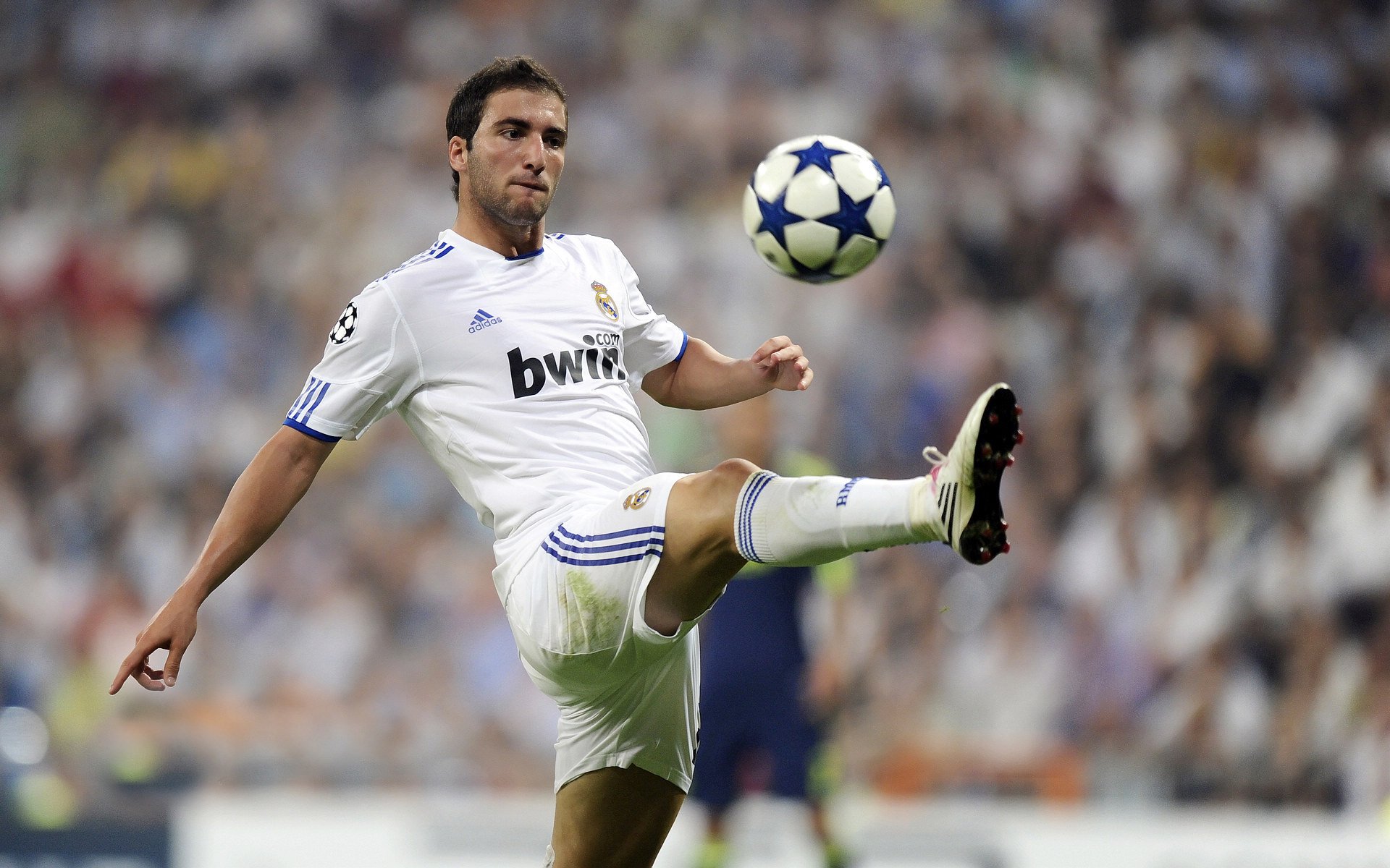 归化之心,塞内加尔鏖战瑞典,格纳布里带队取胜的背后